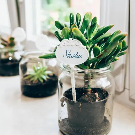 Apartment Cosy 2 Krakow