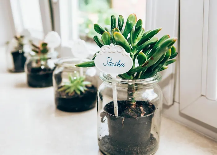 شقة Cosy 2 كراكوفيا